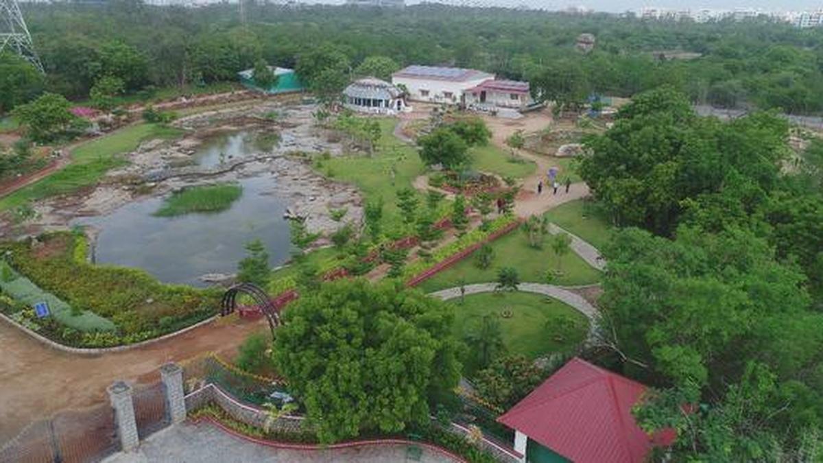 Botanical Garden set for relaunch today The Hindu
